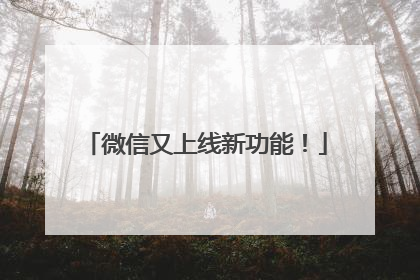 微信又上线新功能！